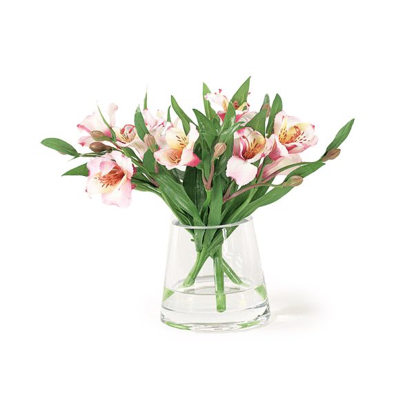 Pink Alstromeria Accent in Water