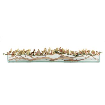Green Speckled Phalaenopsis on Ghostwood in Glass