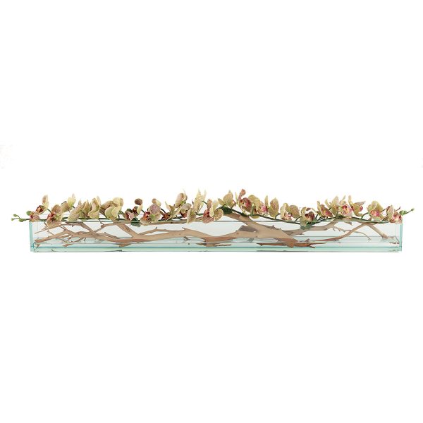 Green Speckled Phalaenopsis on Ghostwood in Glass