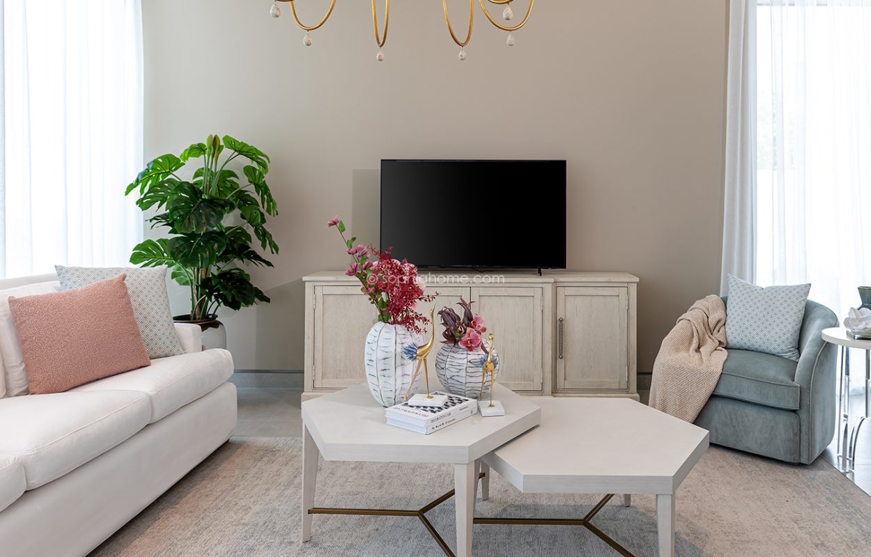 Sophia Home Living Room Design (6)