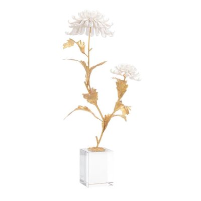 Avignon Chrysanthemums