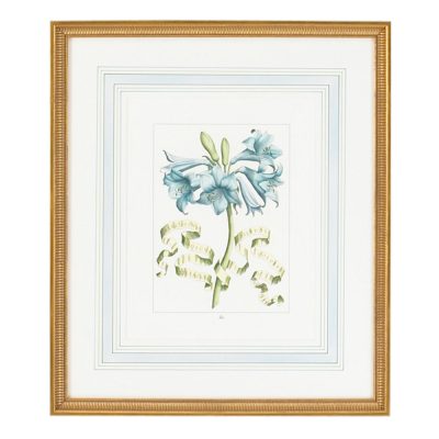Bl Floral with Ribbon C
