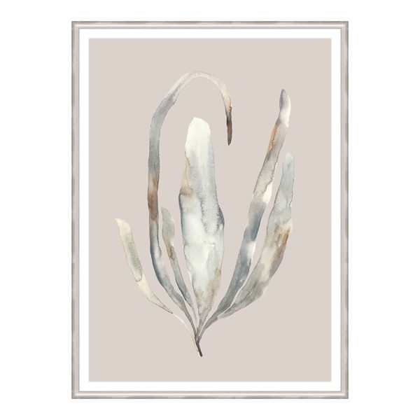 Water Colored Seaweed VII Artwork