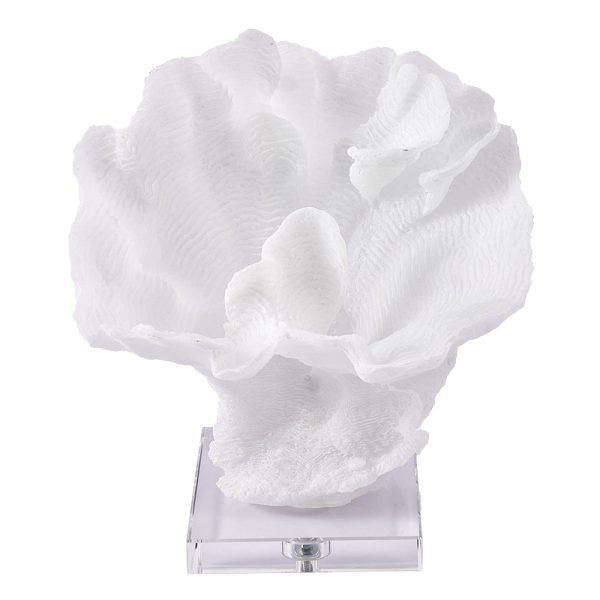 White Coral Sculpture - Image 2
